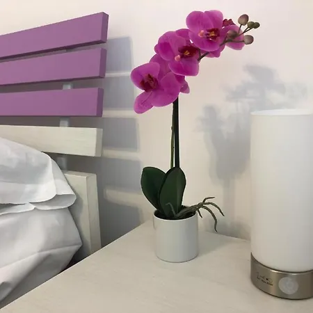 Hotel Venice Tour *